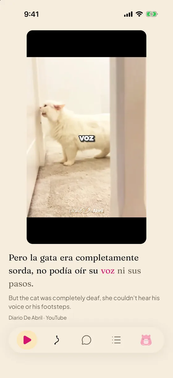 Carpincho feed: short clip of a white cat, subtitle “Pero la gata era completamente sorda…” with the spoken word highlighted and the English translation